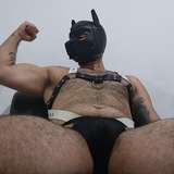 pupbearboss from onlyfans