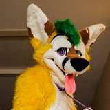 thepineapplefox from onlyfans