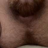 theunderwearbear from onlyfans