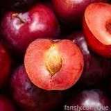 608622966569181184 from fansly