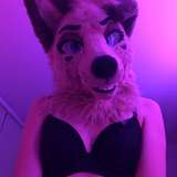 angel_pups from onlyfans